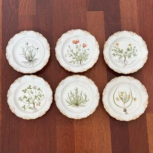 Royal Copenhagen Flora Danica Plate Set of 6